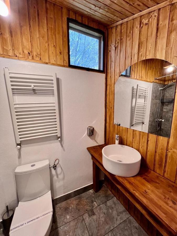 Cabana Ana Guest house *